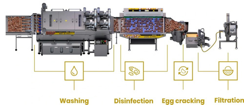 Egg processing line for fresh egg liquid OVOTECH